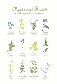 medicinal-herbs-poster-01